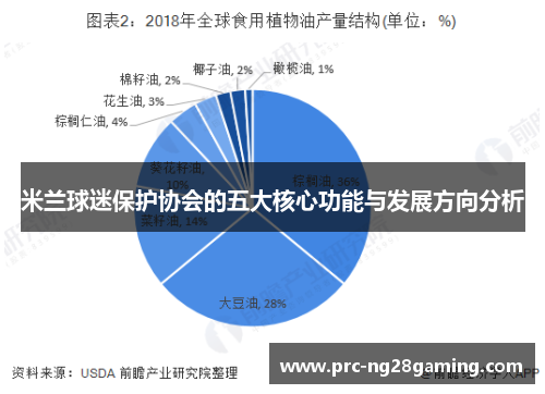 米兰球迷保护协会的五大核心功能与发展方向分析