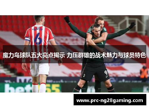 魔力鸟球队五大亮点揭示 力压群雄的战术魅力与球员特色