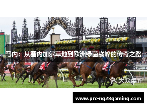 马内：从塞内加尔草地到欧洲绿茵巅峰的传奇之路